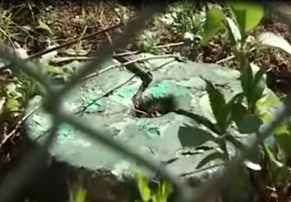 Кто такие хазары, и за что византийцы убили Иисуса