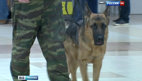 В Москве из-за угрозы взрыва эвакуировали вокзалы и дом