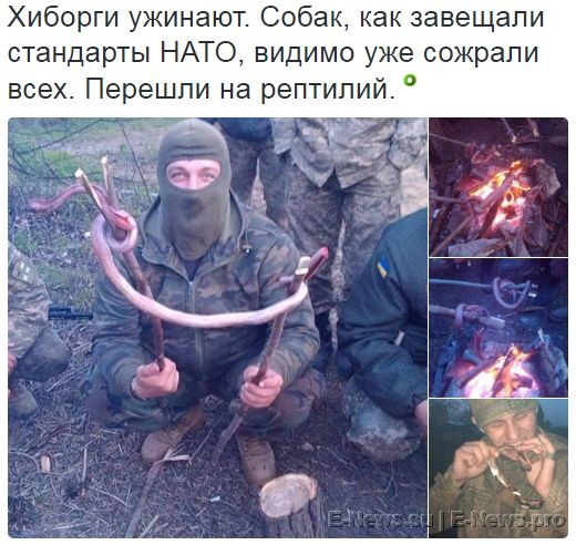 Потерь НЕТ - терять некого! Потери укрофашистов с 1 по 30 апреля (Фото) Потерь НЕТ - терять некого! Потери укрофашистов с 1 по 30 апреля (Фото)