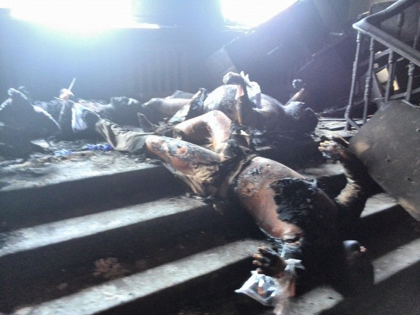 18+ Одесса помнит (фото и видео) 18+ Одесса помнит (фото и видео)