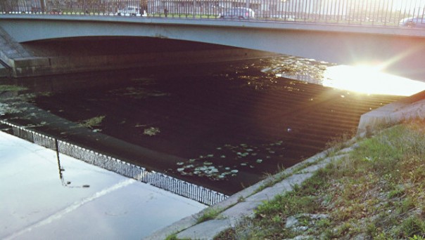 СМИ: губернатор Петербурга утвердил название моста в честь Кадырова