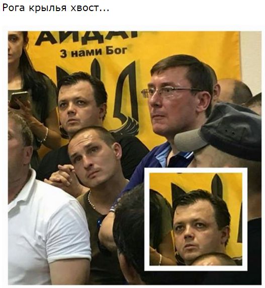 "Мыздобулы" в картинках. Смешных и не очень... 06-07-2016 "Мыздобулы" в картинках. Смешных и не очень... 06-07-2016