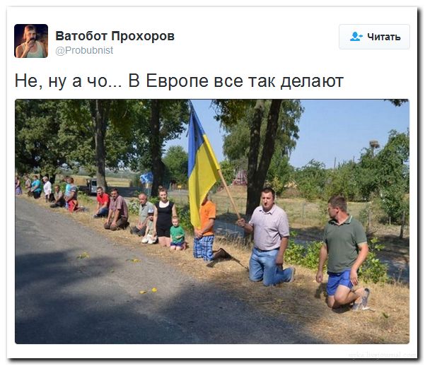 "Мыздобулы" в картинках. Смешных и не очень... 06-07-2016 "Мыздобулы" в картинках. Смешных и не очень... 06-07-2016