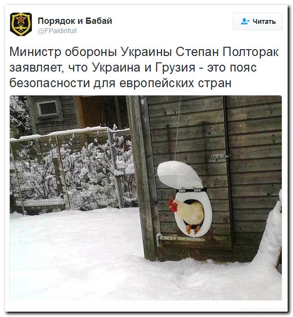 "Мыздобулы" в картинках. Смешных и не очень... 06-07-2016 "Мыздобулы" в картинках. Смешных и не очень... 06-07-2016