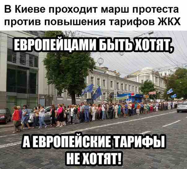 "Мыздобулы" в картинках. Смешных и не очень... 06-07-2016 "Мыздобулы" в картинках. Смешных и не очень... 06-07-2016