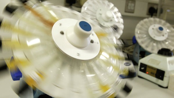 FISA выявила подмену проб у пяти российских гребцов