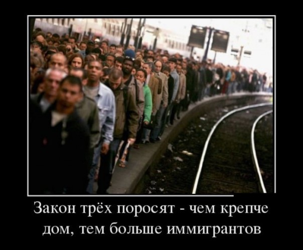 "Мыздобулы" в картинках. Смешных и не очень... 06-07-2016 "Мыздобулы" в картинках. Смешных и не очень... 06-07-2016