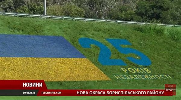 Очередная решительная перемога Украины Очередная решительная перемога Украины