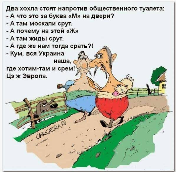 Украина-2016 и безвиз: карлики Вальцману помогут! Владимир Скачко