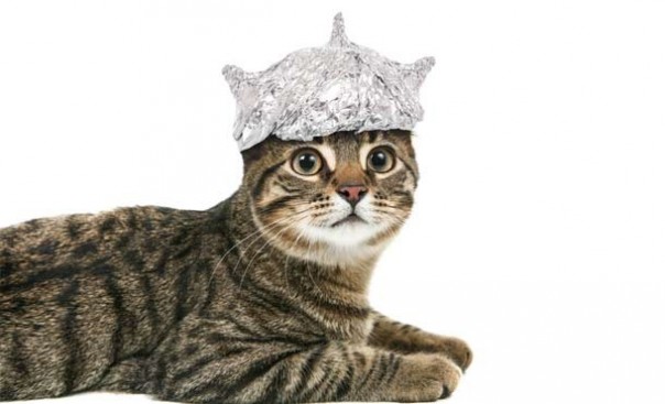 Чего ещё мы не знали о кошках Чего ещё мы не знали о кошках