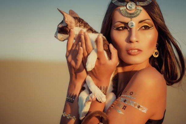 Чего ещё мы не знали о кошках Чего ещё мы не знали о кошках