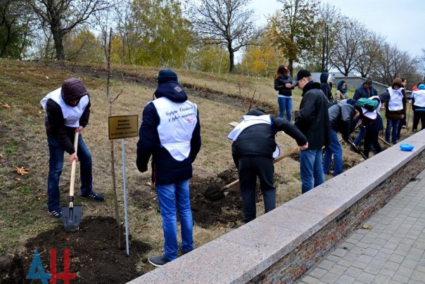 Сводка от МО ДНР 29 октября 2016. Названы имена офицеров ВСУ, виновных в обстреле Макеевки Сводка от МО ДНР 29 октября 2016. Названы имена офицеров ВСУ, виновных в обстреле Макеевки