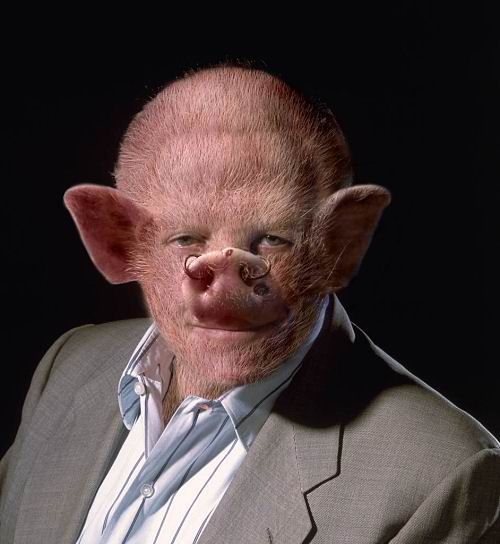 Проклятие моей земли. Анатолий Шарий Проклятие моей земли. Анатолий Шарий