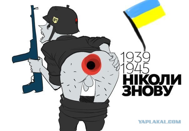 Знову дупа Знову дупа