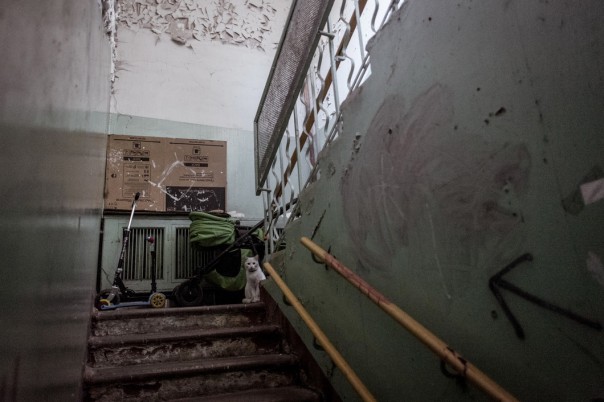 Бездомный полк. Бездомный полк.