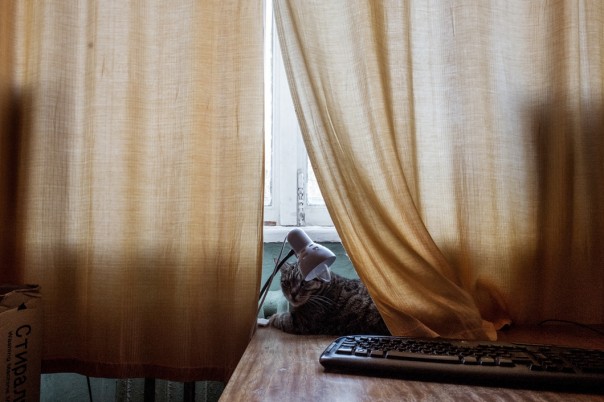 Бездомный полк. Бездомный полк.