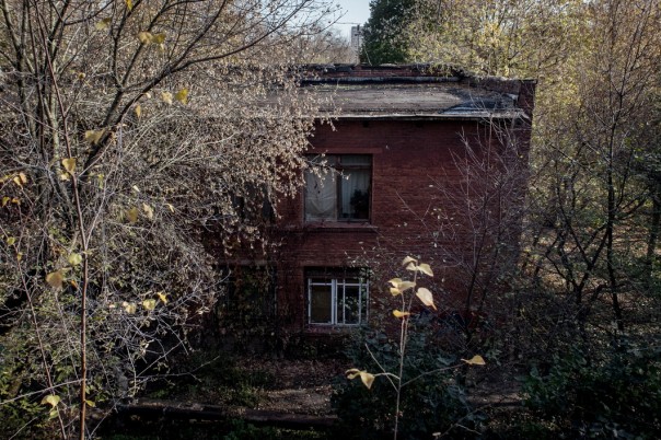 Бездомный полк. Бездомный полк.