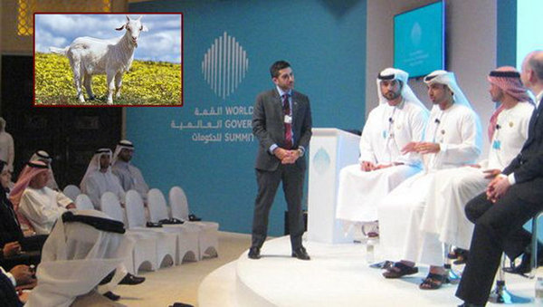 В Cаудовской Аравии женщин признали животными В Cаудовской Аравии женщин признали животными