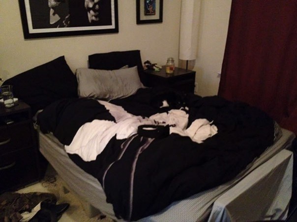 Найди кота! 18 фото со спрятавшимися котами заставят вас поломать голову Найди кота! 18 фото со спрятавшимися котами заставят вас поломать голову