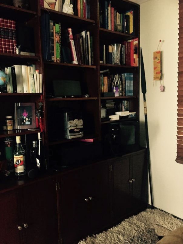 Найди кота! 18 фото со спрятавшимися котами заставят вас поломать голову Найди кота! 18 фото со спрятавшимися котами заставят вас поломать голову