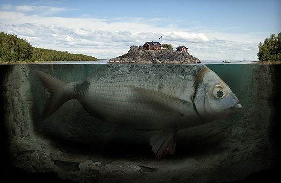 Украинский кризис глазами грека Украинский кризис глазами грека