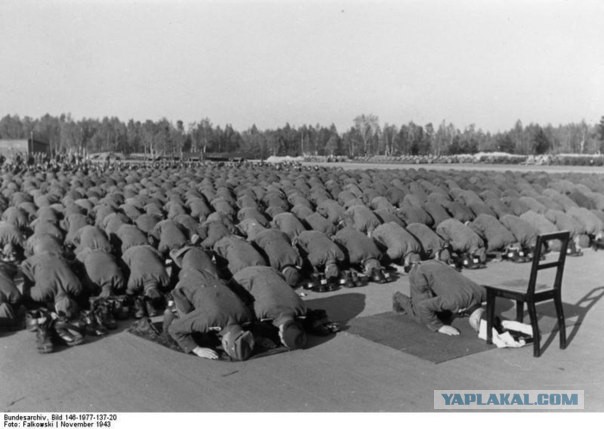 Украинская прокуратура решила допросить Сталина и Берию по делу о депортации крымских татар Украинская прокуратура решила допросить Сталина и Берию по делу о депортации крымских татар