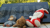 За время военного конфликта на Донбассе, от снарядов украинских карателей погибло более 150 детей