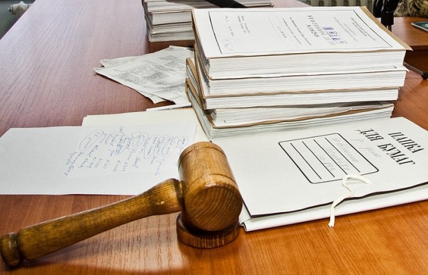 Фигуранты дела "хабаровских живодерок" получили реальные сроки заключения