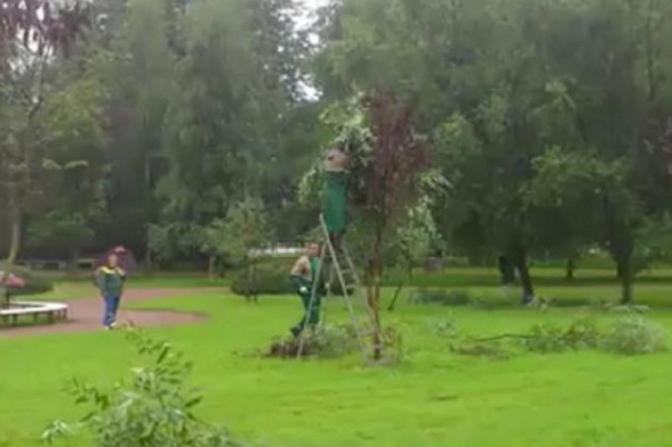 Абсурдные новости. 24 августа 2017 года