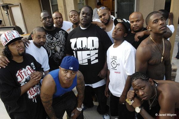 Существование афроамериканского субэтноса – как угроза существованию человеческой цивилизации