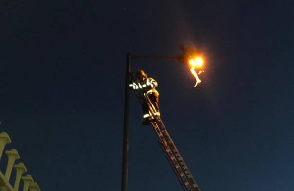 Британец под дозой залез на 10-метровый столб и просидел там час