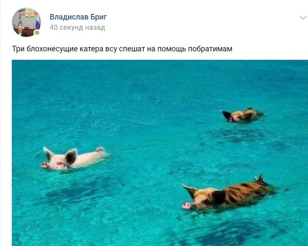 Катера в Керченском проливе готовы к высадке десанта, - командующий ВМС Украины