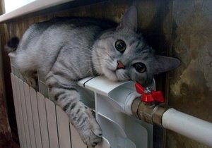 Цены на теплоснабжение для населения вырастут на 120% – Яценюк