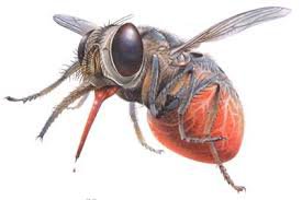 Два монолога-без диалога.