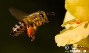 Два монолога-без диалога.