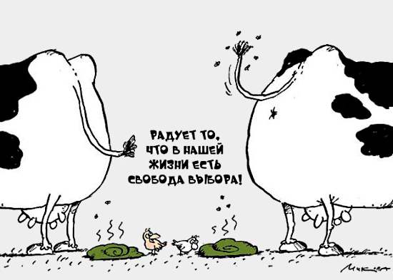 Счастливый выбор Украины Счастливый выбор Украины