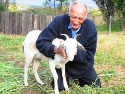 Торжество толерантности общечеловеков.