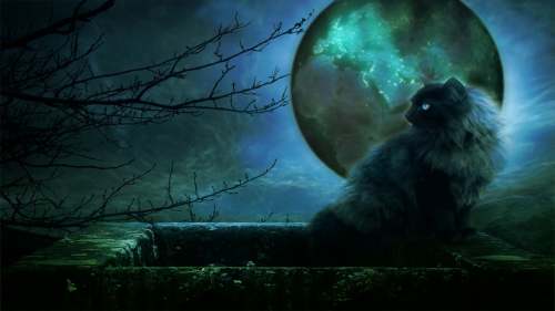 Опять знак? Опять знак?