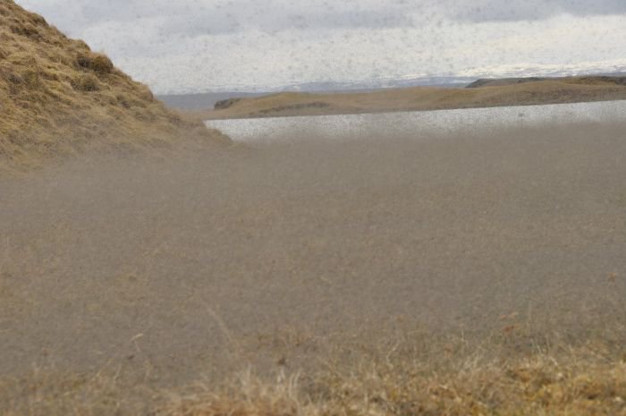 Снегопады. Дожди. Нашествие комаров. - Природа против США. Снегопады. Дожди. Нашествие комаров. - Природа против США.