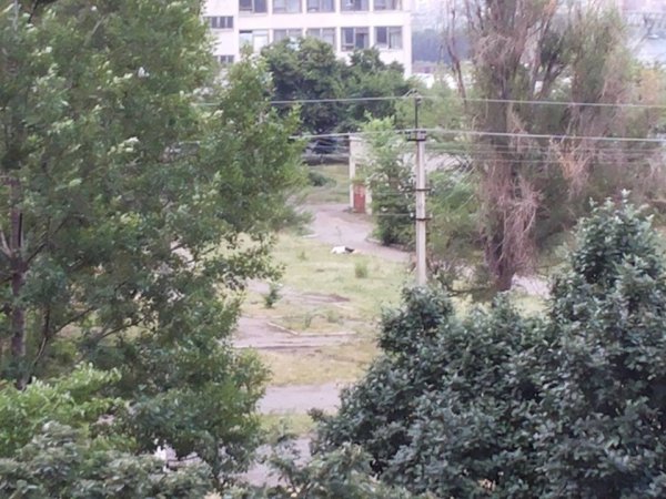 Битва за Донбасс 26-05-2014. Большая подборка видео и фото