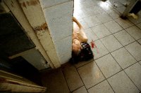 18+ Для тех, кто до сих пор не может поверить, что война уже началась