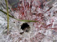 ОБСЕ нашла первую группу наблюдателей, но потеряла вторую