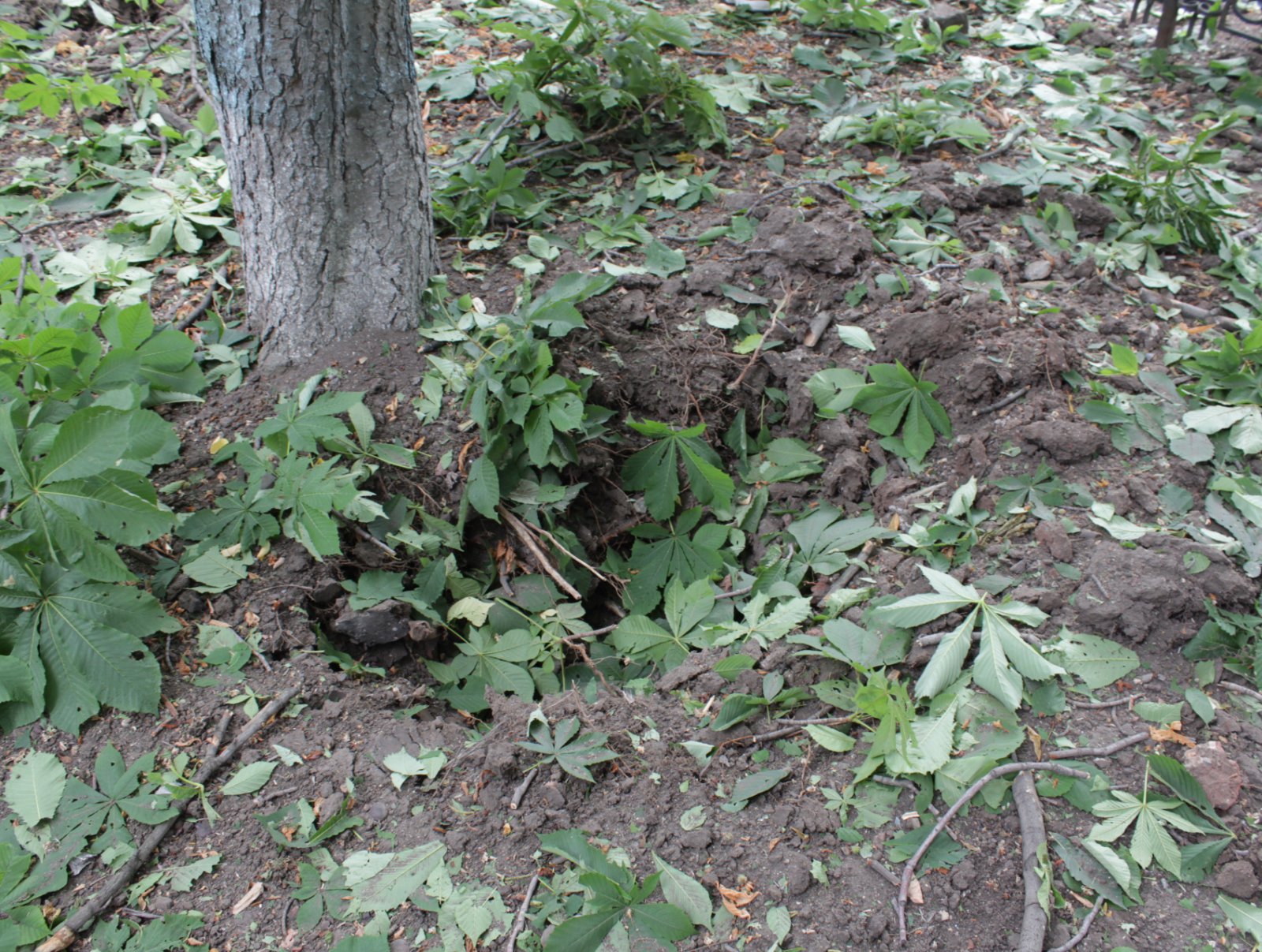 Луганск, преступление против человечности: большинство ракет штурмовика попало в сквер, в котором гуляли люди Луганск, преступление против человечности: большинство ракет штурмовика попало в сквер, в котором гуляли люди