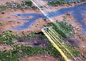 Не только газ.Ещё и плантация ГМО