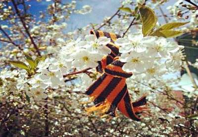 Психологи и политологи Украины призывают "не дать Востоку успеть создать русскую партию!" Психологи и политологи Украины призывают "не дать Востоку успеть создать русскую партию!"