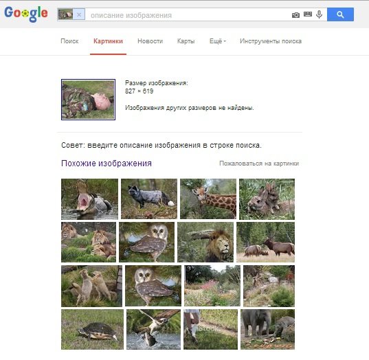 Бравый английский ЧВКашник в Киеве Бравый английский ЧВКашник в Киеве