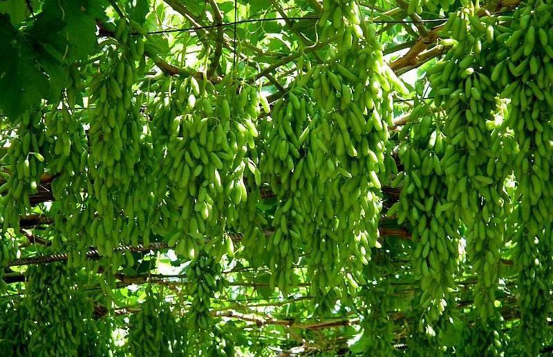 Заберите себе свой канал!..