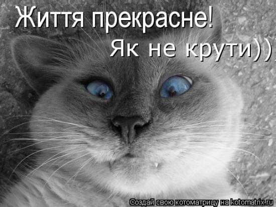 Краще життя! Краще життя!