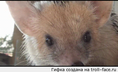 Улыбнитесь Улыбнитесь