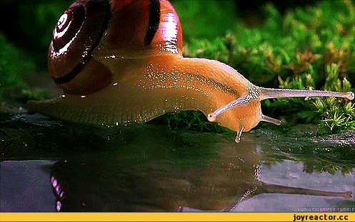 Улыбнитесь Улыбнитесь